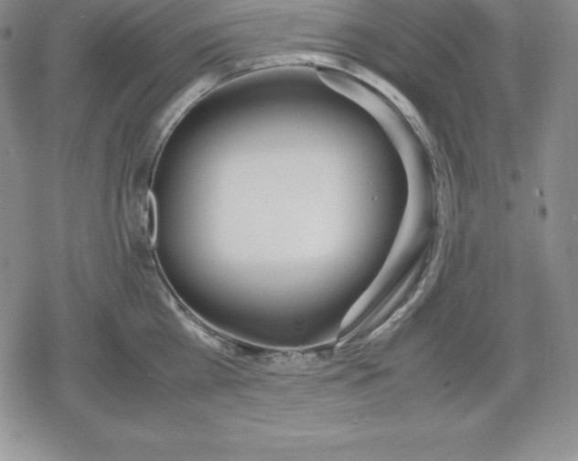 X0000080170809200612221249