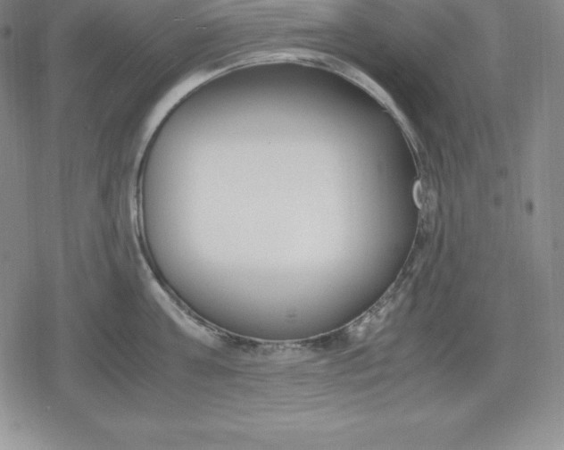 X0000080170811200612221249