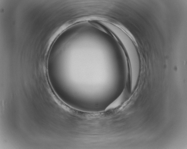 X0000080170813200612221249