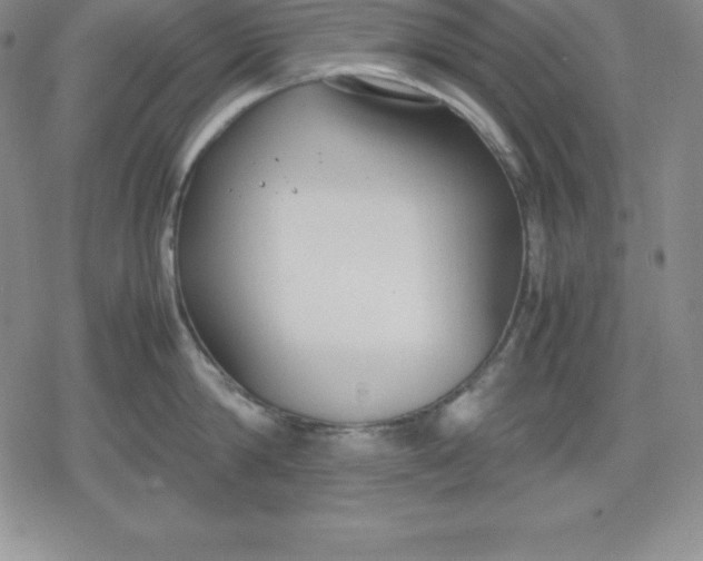 X0000080170814200612221249