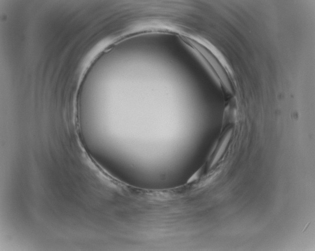 X0000080170815200612221249