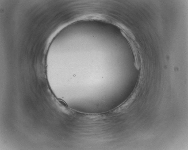 X0000080170816200612221249