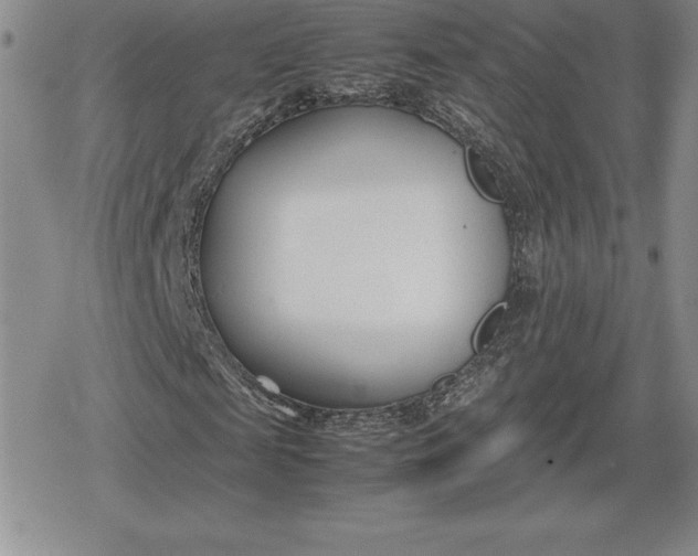 X0000080170817200612221248