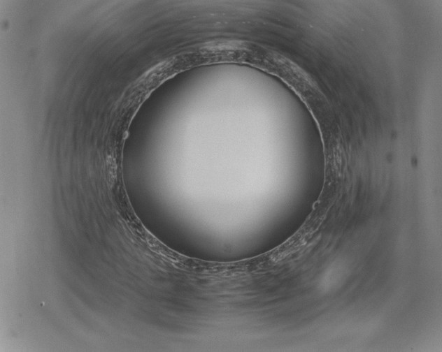 X0000080170821200612221248