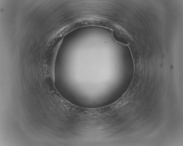 X0000080170822200612221248