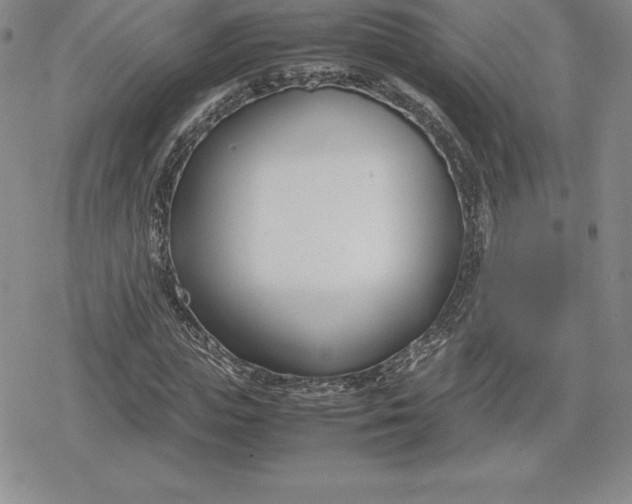 X0000080170823200612221248