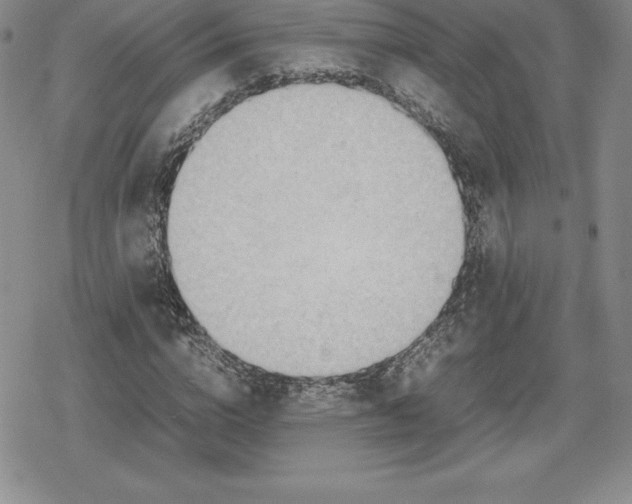 X0000080170824200612221248