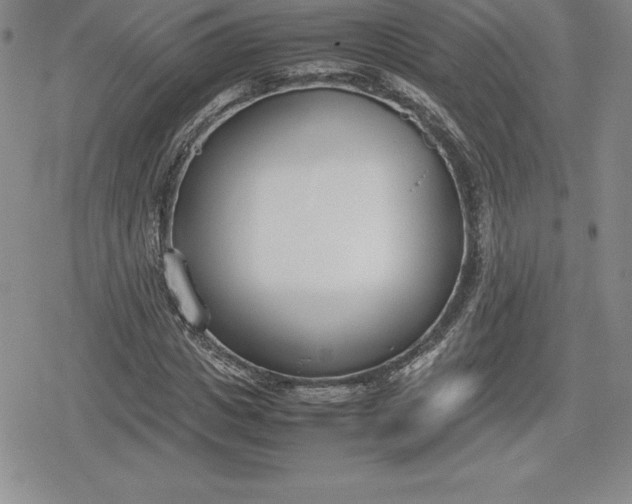 X0000080170825200612221248