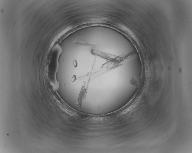 X0000080170827200612221248