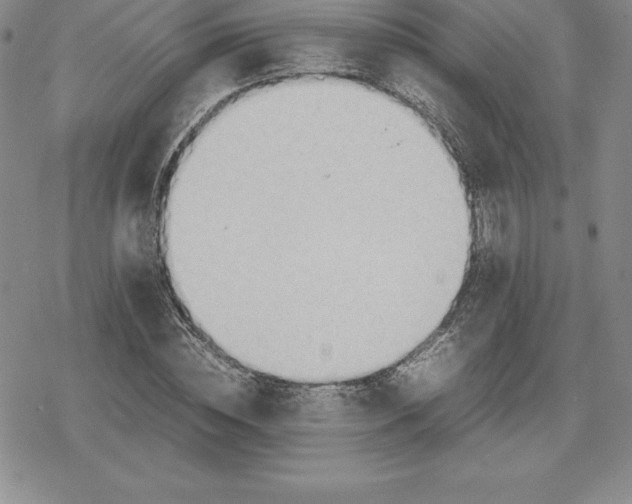 X0000080170828200612221248