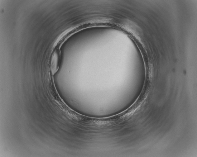 X0000080170829200612221248