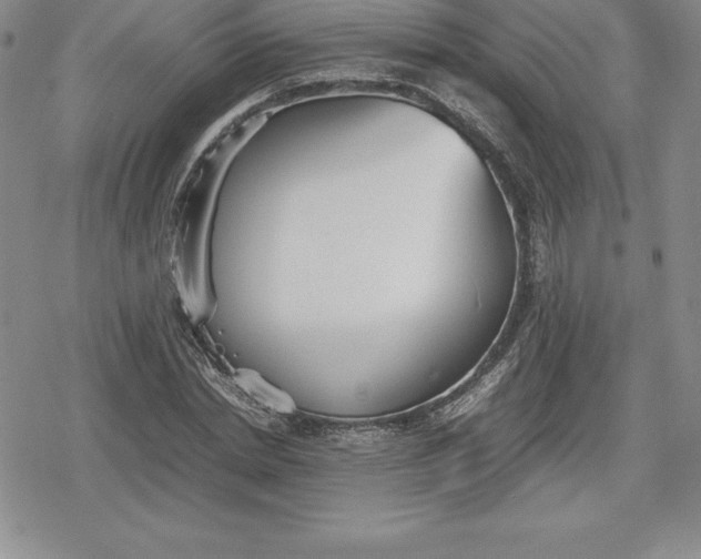 X0000080170830200612221248