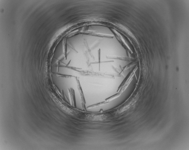 X0000080170831200612221249