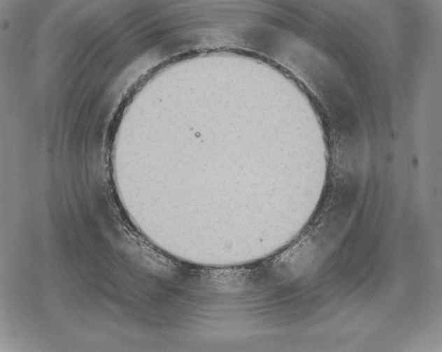 X0000080170832200612221249