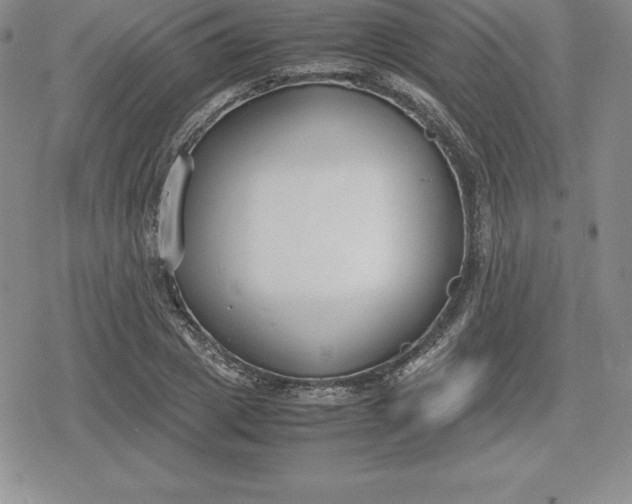 X0000080170833200612221249