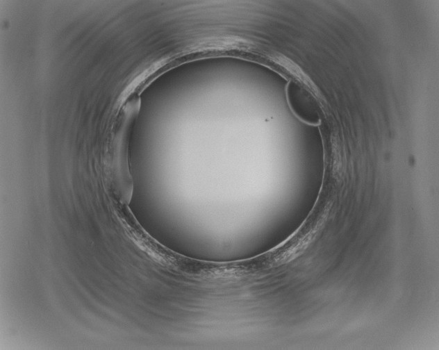 X0000080170834200612221249