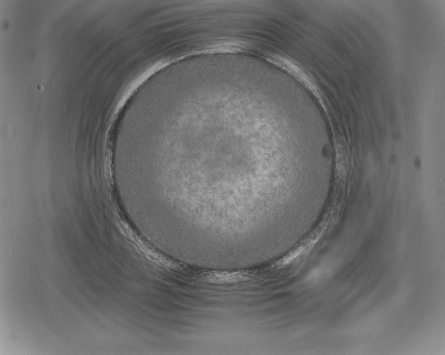 X0000080170835200612221249