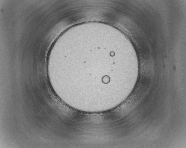 X0000080170836200612221249