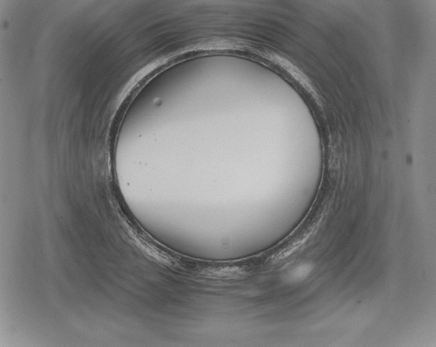 X0000080170837200612221249