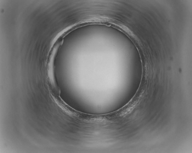 X0000080170838200612221249