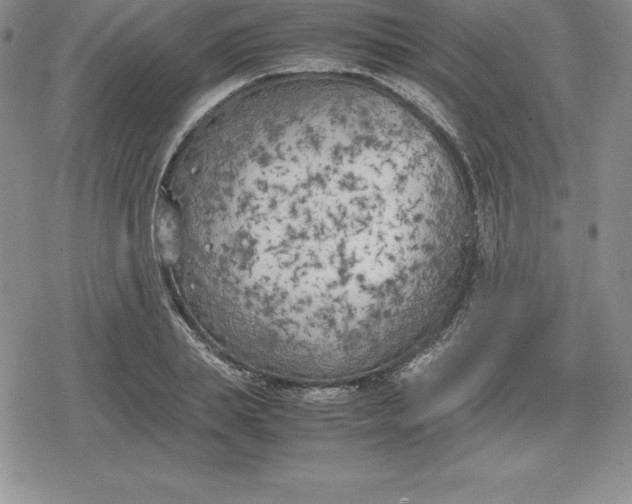 X0000080170839200612221249