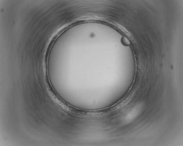 X0000080170840200612221249