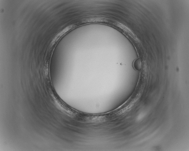 X0000080170841200612221249