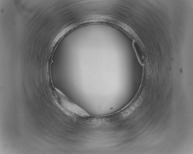 X0000080170842200612221249