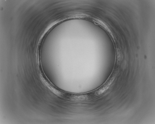 X0000080170843200612221249