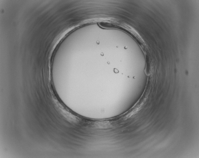 X0000080170844200612221249