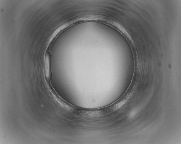 X0000080170845200612221249