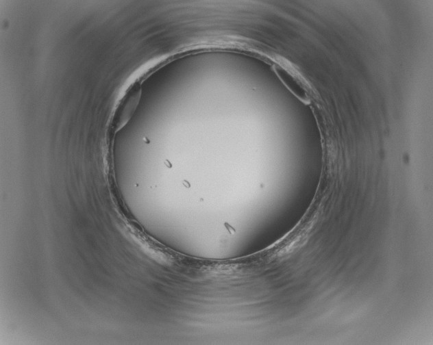 X0000080170846200612221249