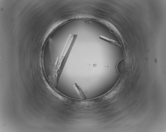 X0000080170847200612221249