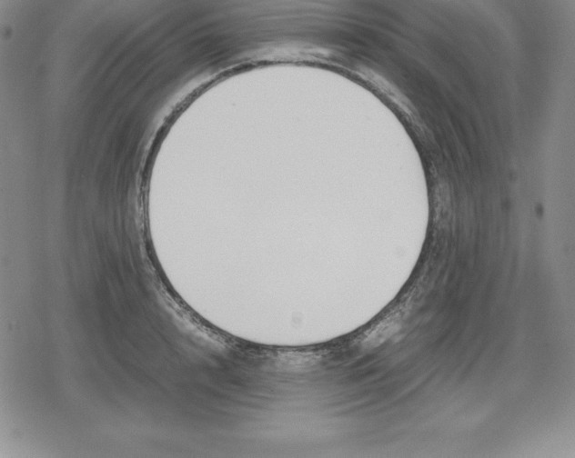 X0000080170848200612221249