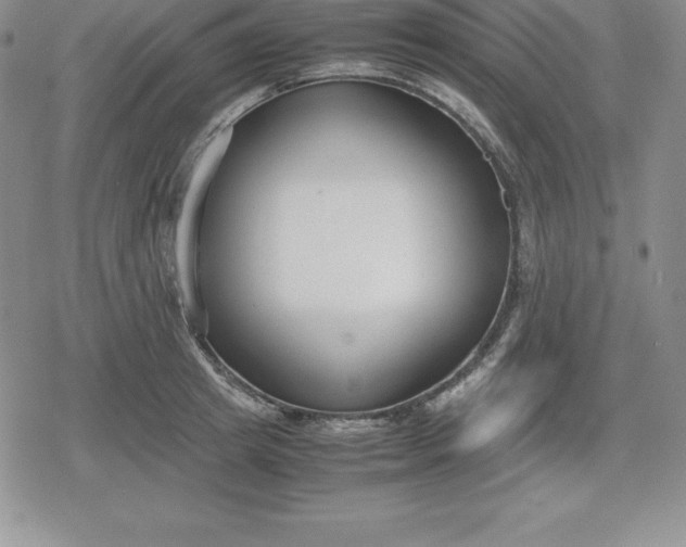 X0000080170849200612221249