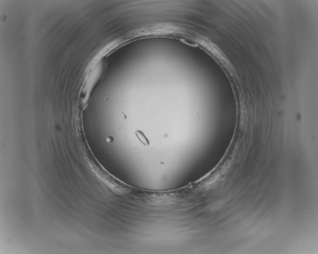 X0000080170850200612221249