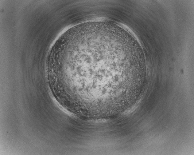 X0000080170851200612221249