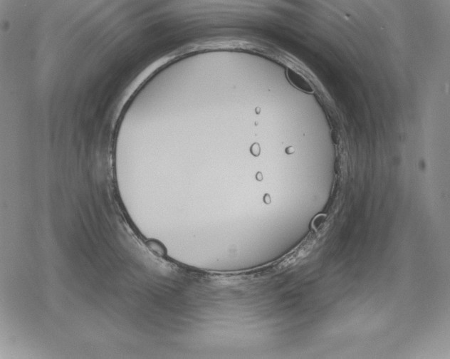 X0000080170852200612221249