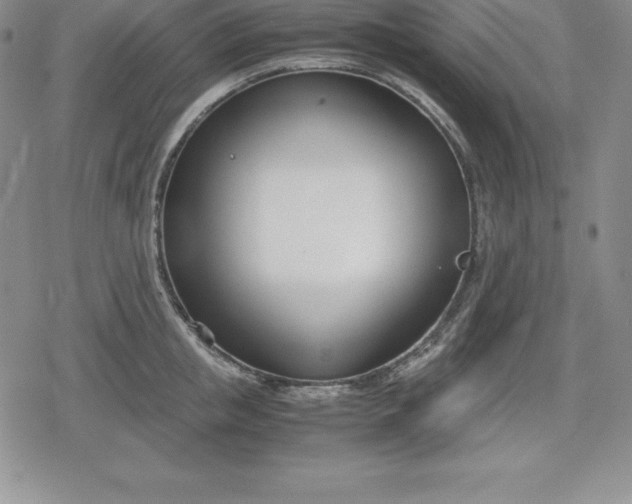 X0000080170853200612221249