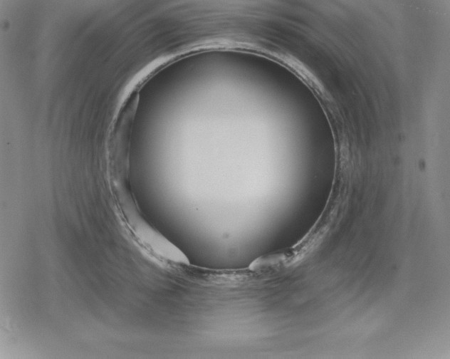 X0000080170854200612221249