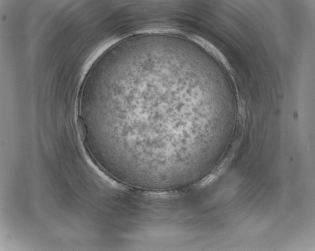 X0000080170855200612221249