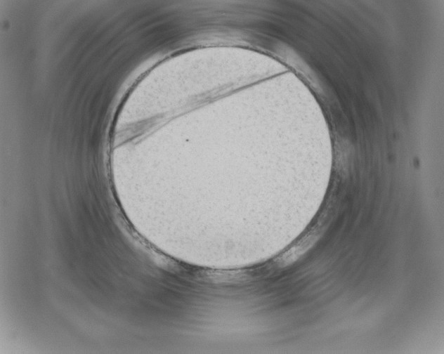 X0000080170856200612221249