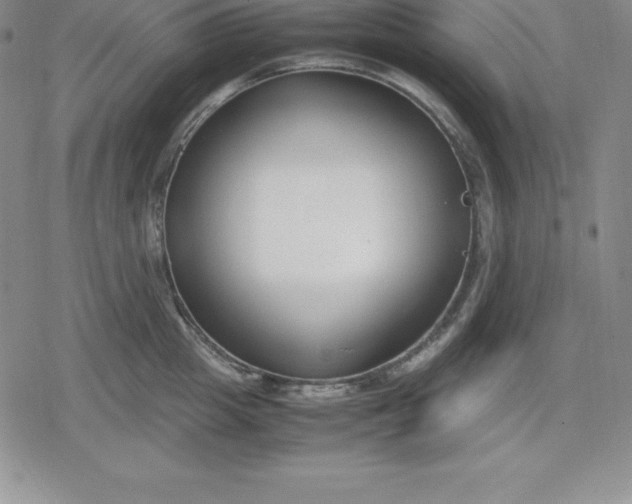 X0000080170857200612221249