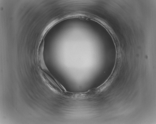 X0000080170858200612221249