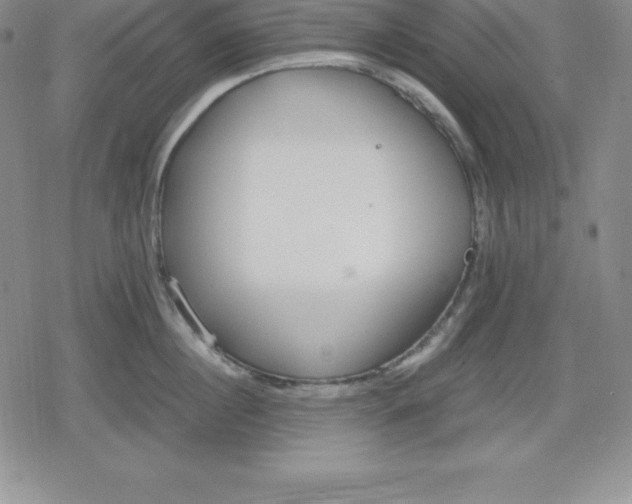 X0000080170860200612221249