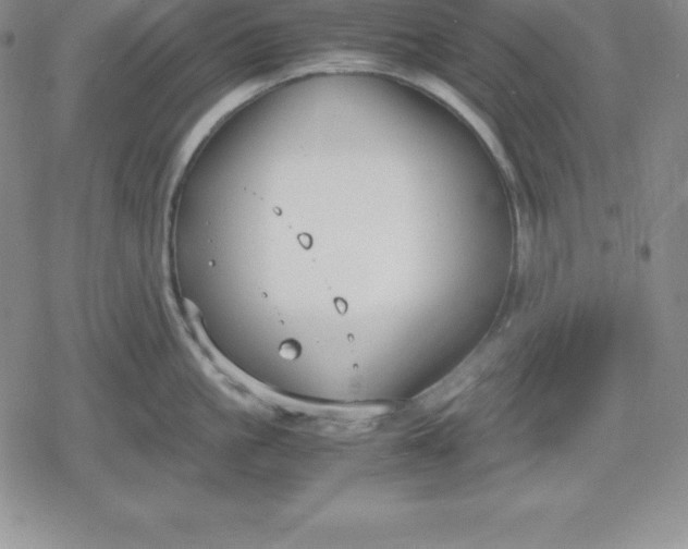 X0000080170861200612221249