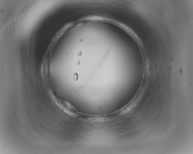 X0000080170862200612221249