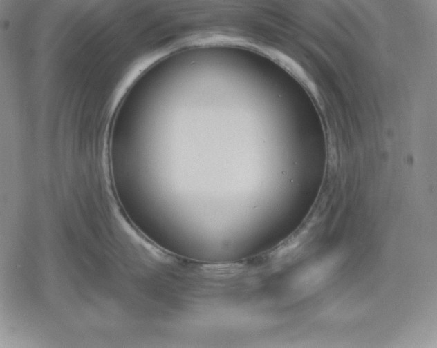 X0000080170863200612221249