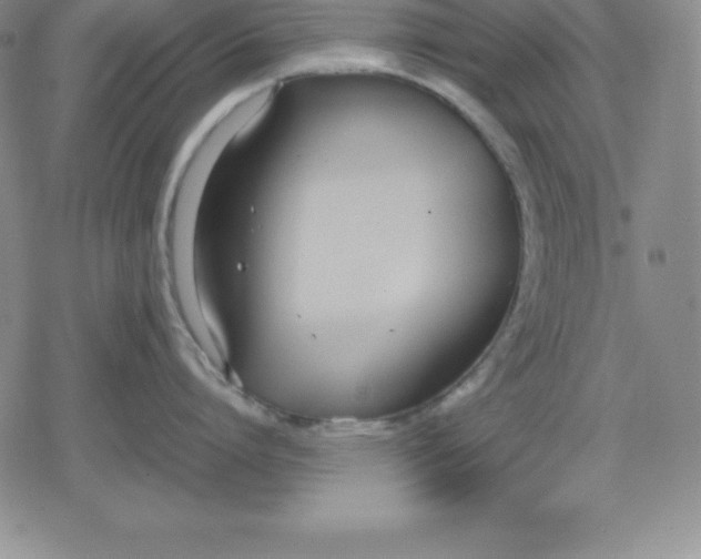 X0000080170864200612221249