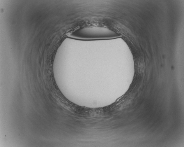 X0000080170865200612221248